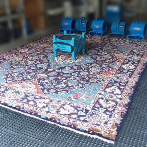 Area rug cleaning specialists in Rogers, AR handling delicate fabrics