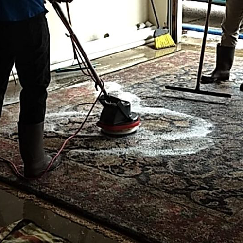 Area rug cleaning specialists in Rogers, AR handling delicate fabrics