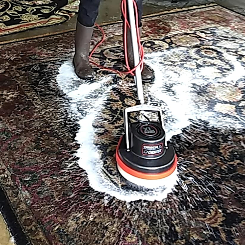 Area rug cleaning specialists in Rogers, AR handling delicate fabrics